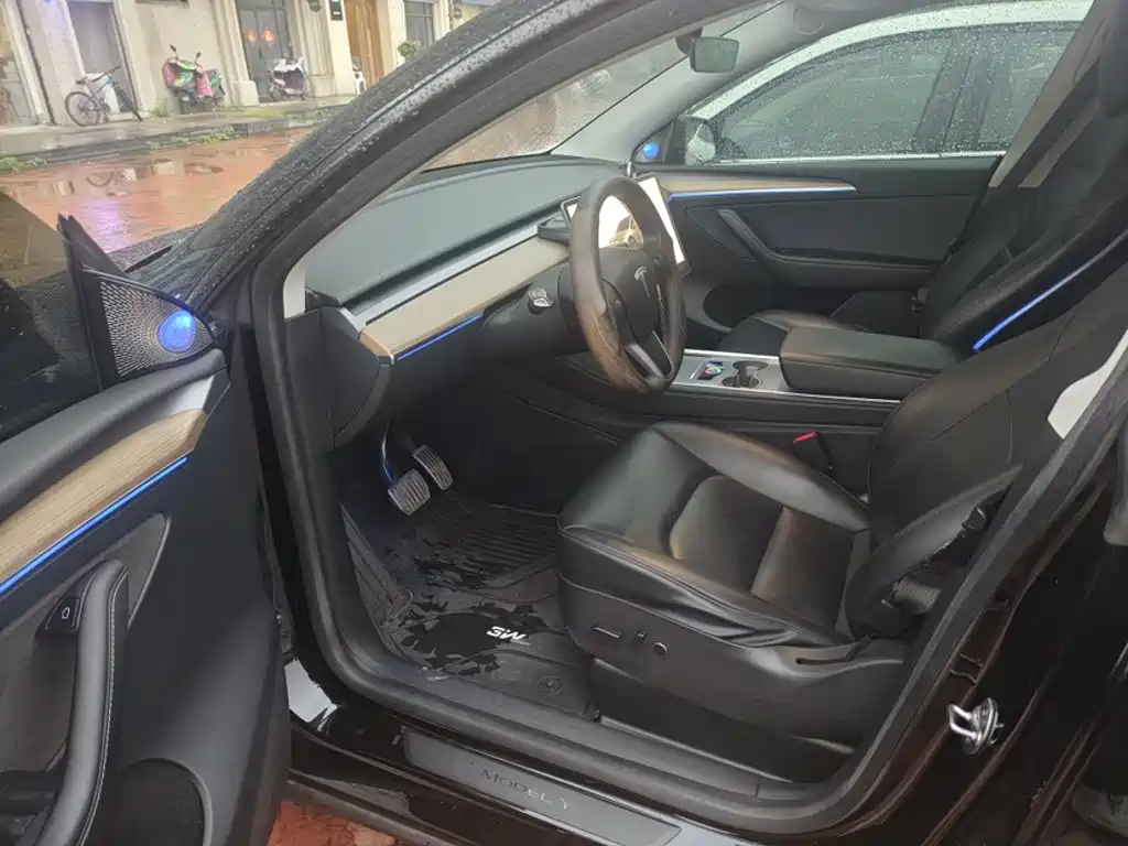 Tesla Model Y — миниатюра 15