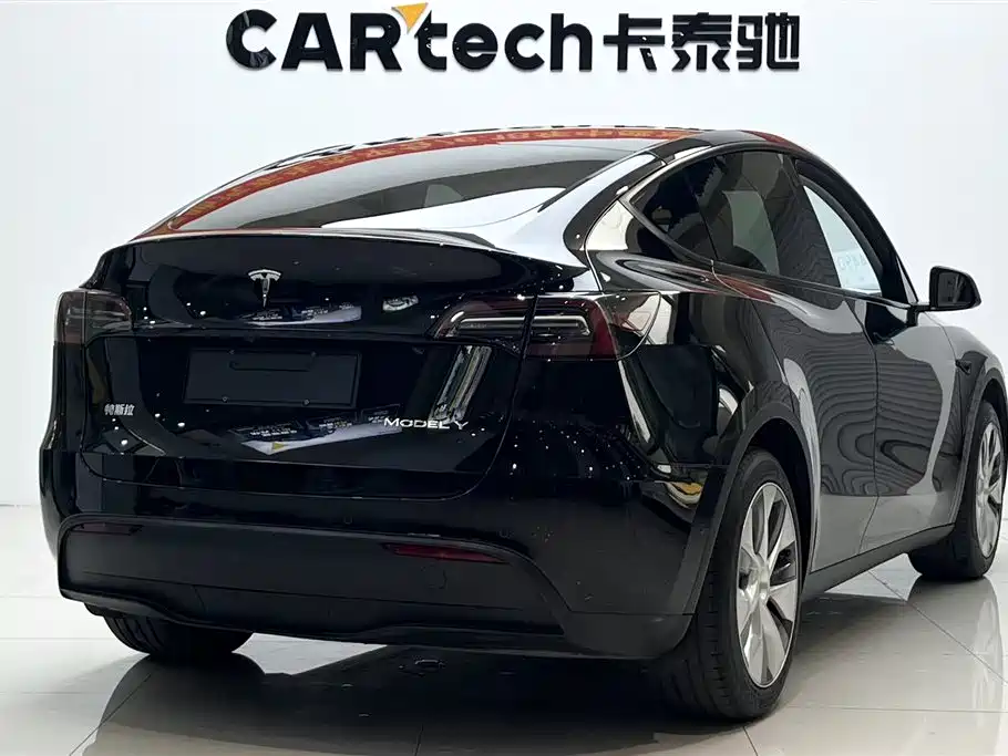 Tesla Model Y — миниатюра 7