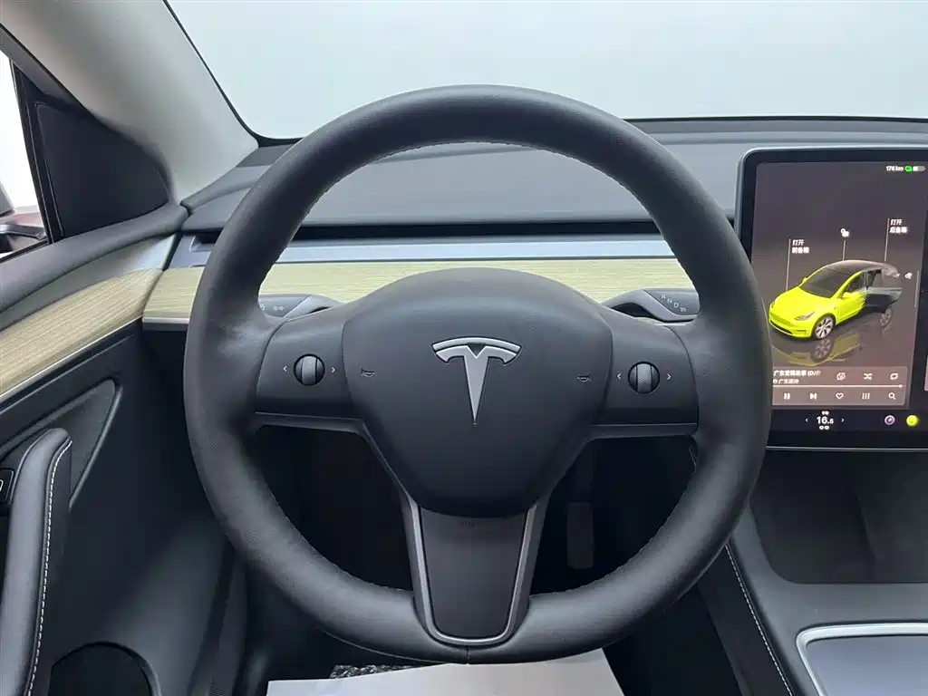 Tesla Model Y — миниатюра 10