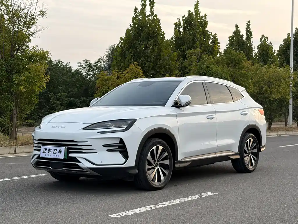 BYD PLUS New Energy