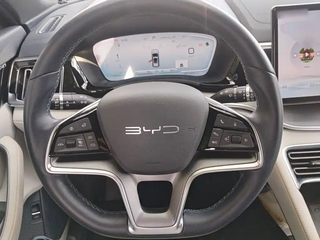 BYD PLUS New Energy — миниатюра 11