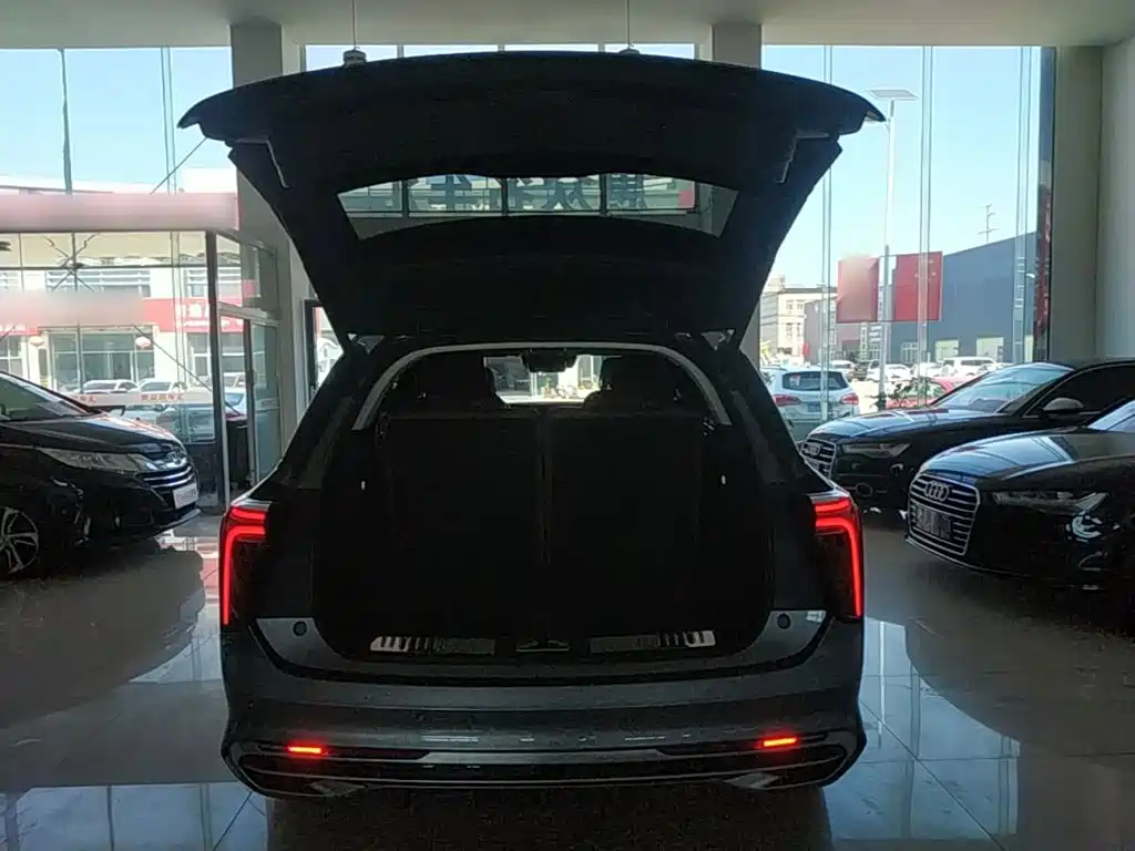 Hongqi Hongqi E-HS9 — миниатюра 19