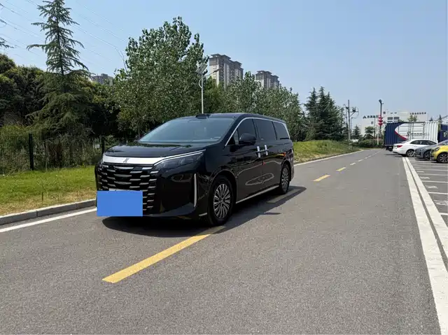 2025 BYD
