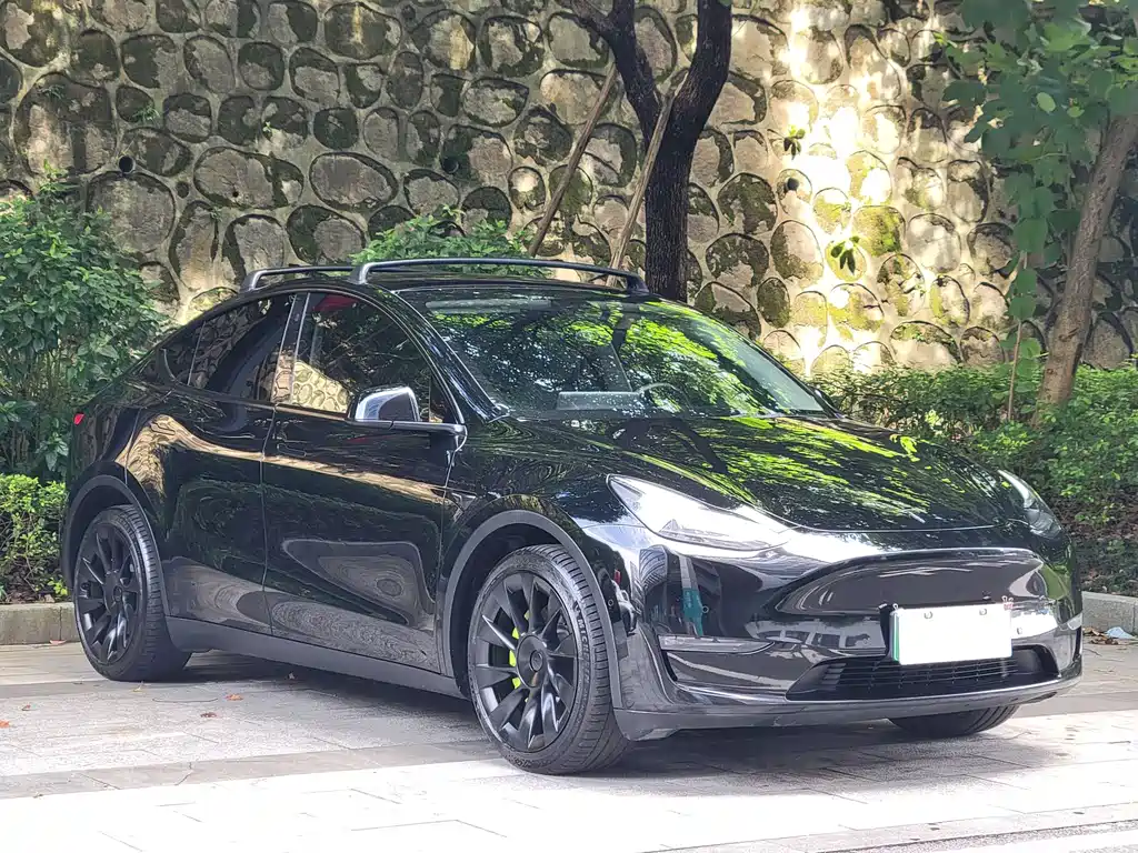 Tesla Model Y — миниатюра 3