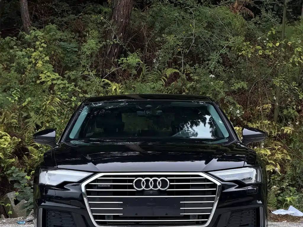 Audi A6L — миниатюра 2