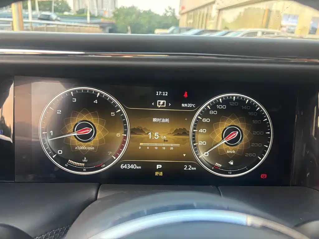 Hongqi Hongqi Golden Sunflower Guoyao — миниатюра 12
