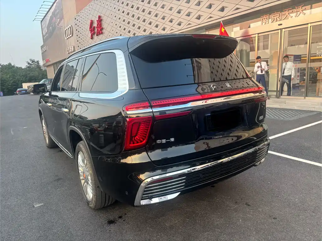 Hongqi Hongqi Golden Sunflower Guoyao — миниатюра 8