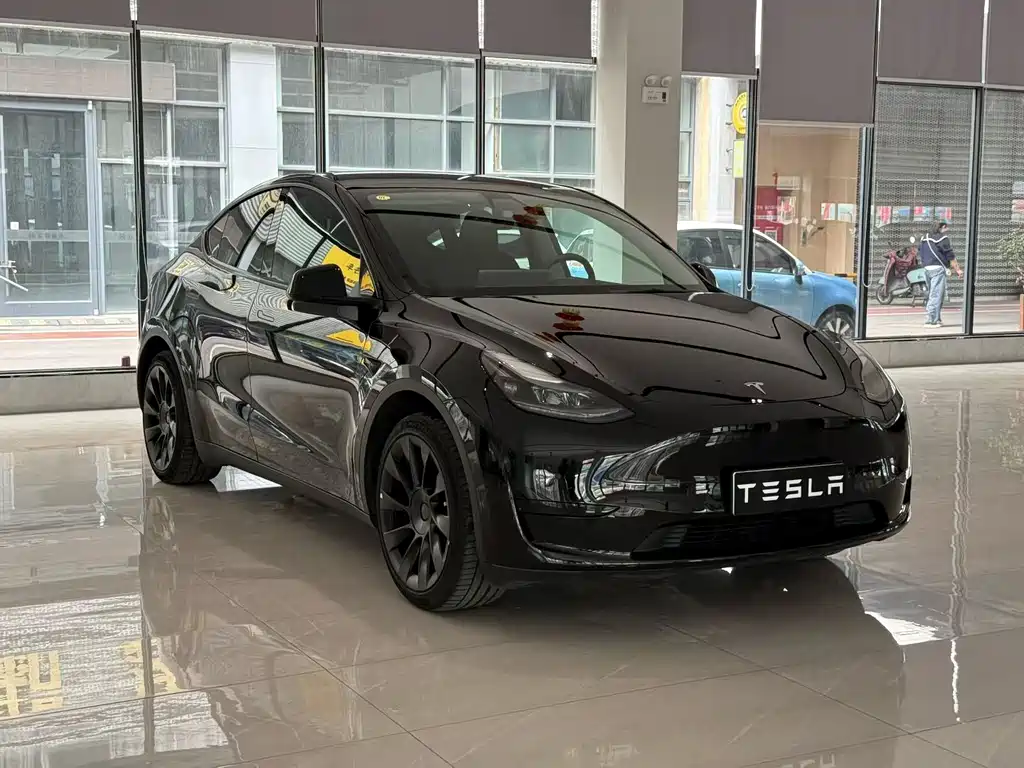 Tesla Model Y — миниатюра 3