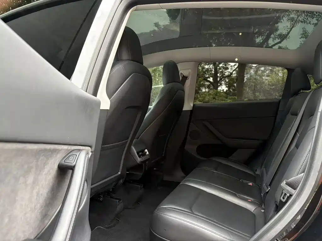 Tesla Model Y — миниатюра 6
