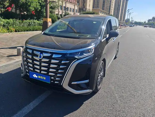 Denza D9