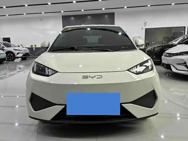 2025 BYD Seagull