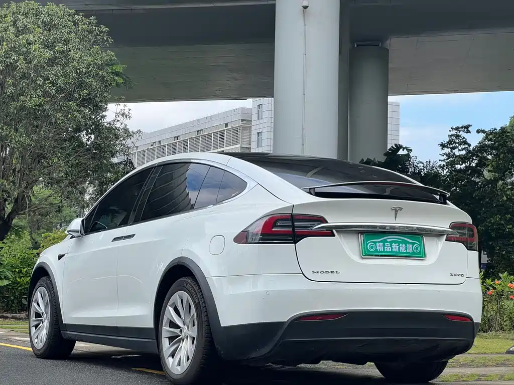 Tesla Model X 2017 Model X 100D