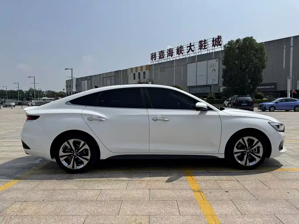 Hyundai Fista — миниатюра 8