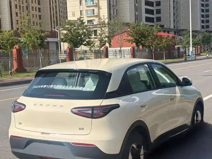 Geely Geome Xingyuan 2025 310km