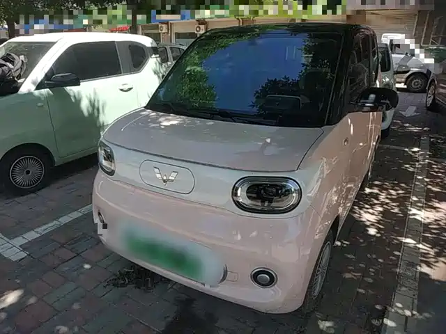 2024 Wuling Motors Hongguang Mini EV