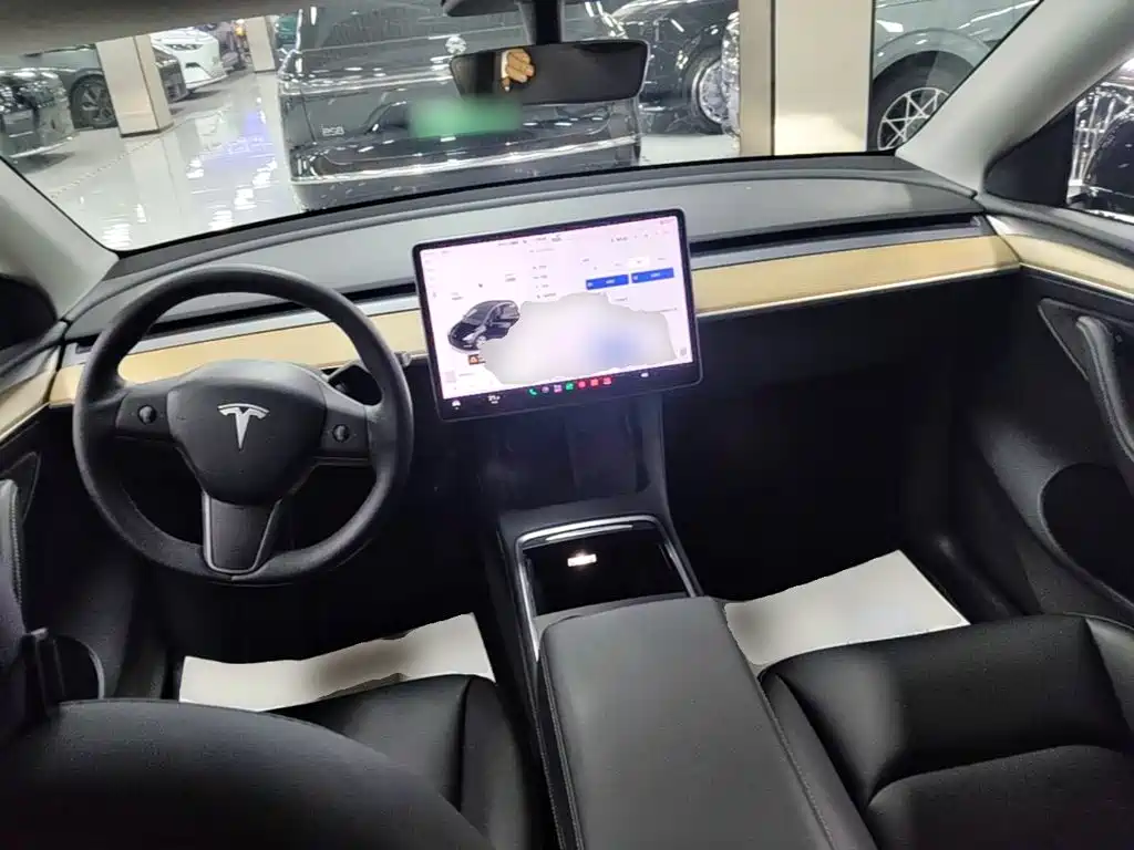 Tesla Model Y — миниатюра 10