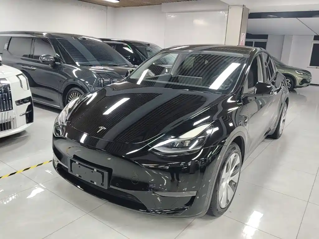 Tesla Model Y — миниатюра 2