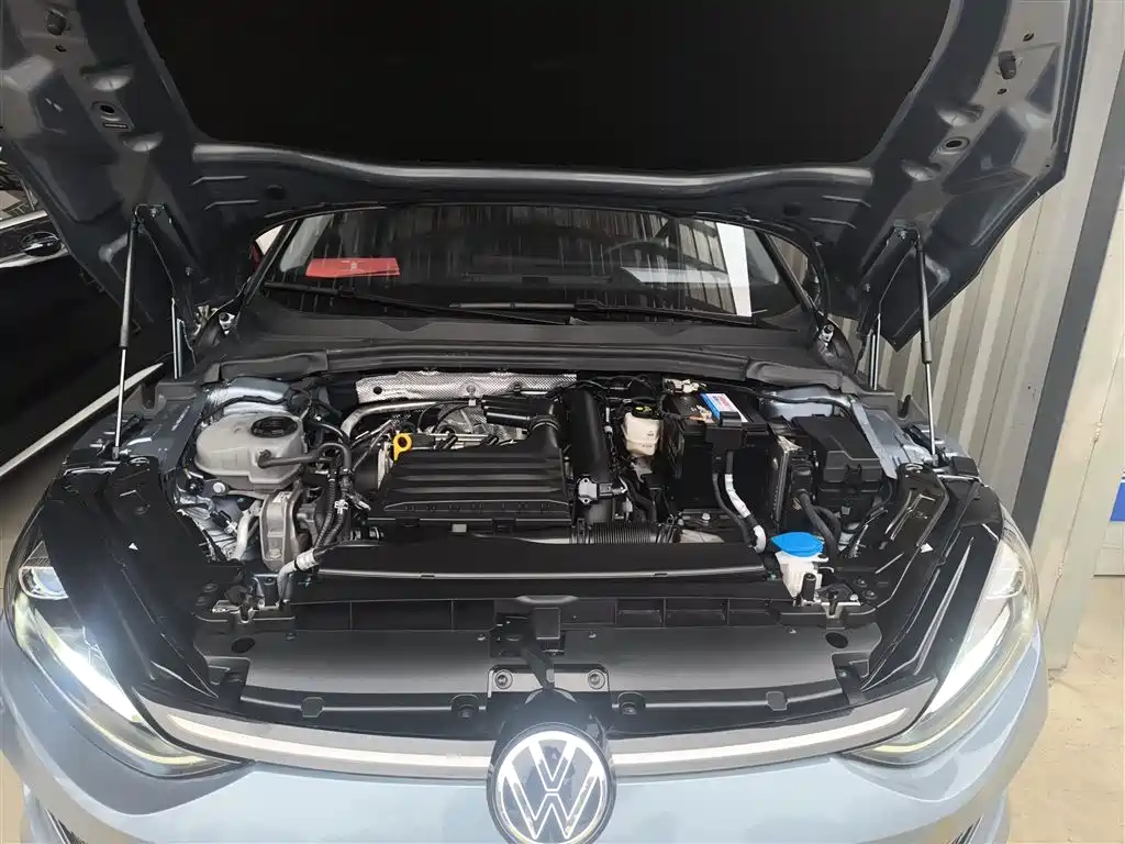 Volkswagen Lamando — фотографии объявления, Фото 20