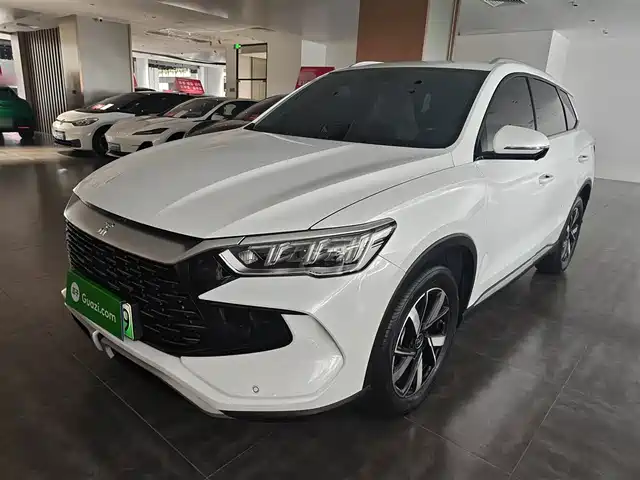 BYD SONGJIANG NEW ENERGY
