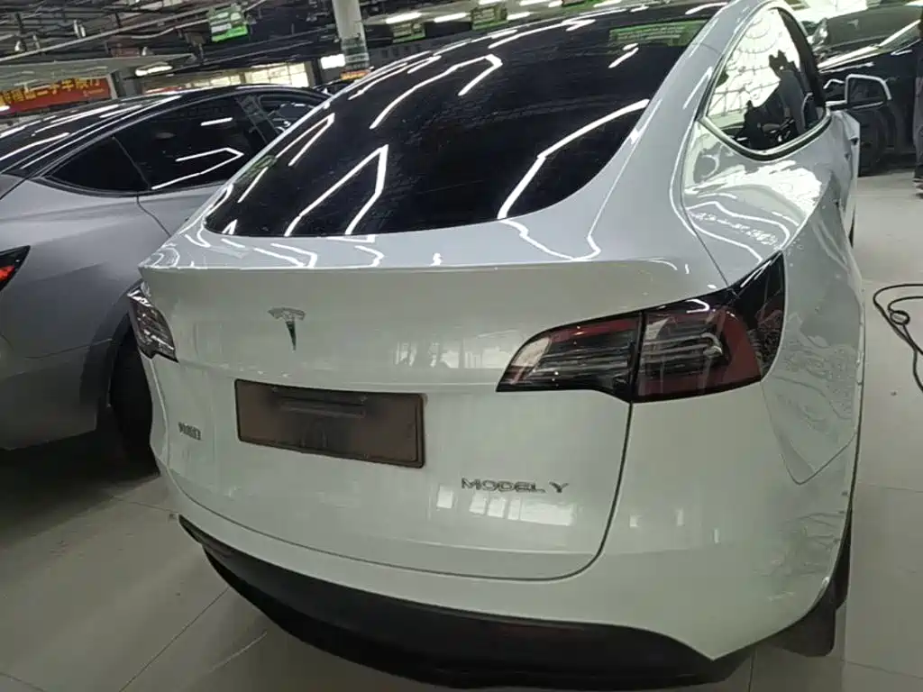 Tesla Model Y — миниатюра 6