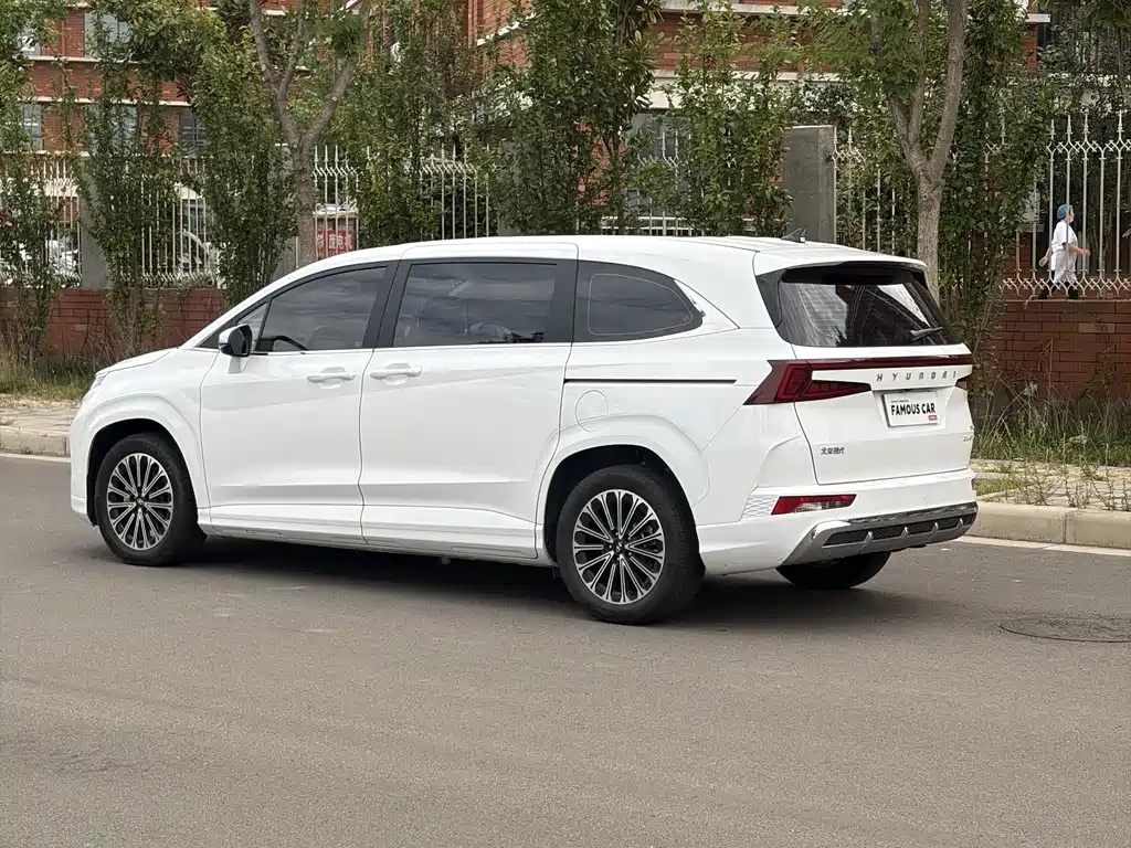 Hyundai Custo — миниатюра 6