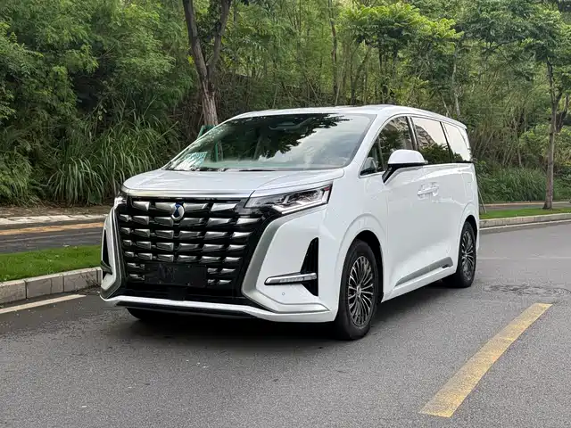 2023 Denza D9