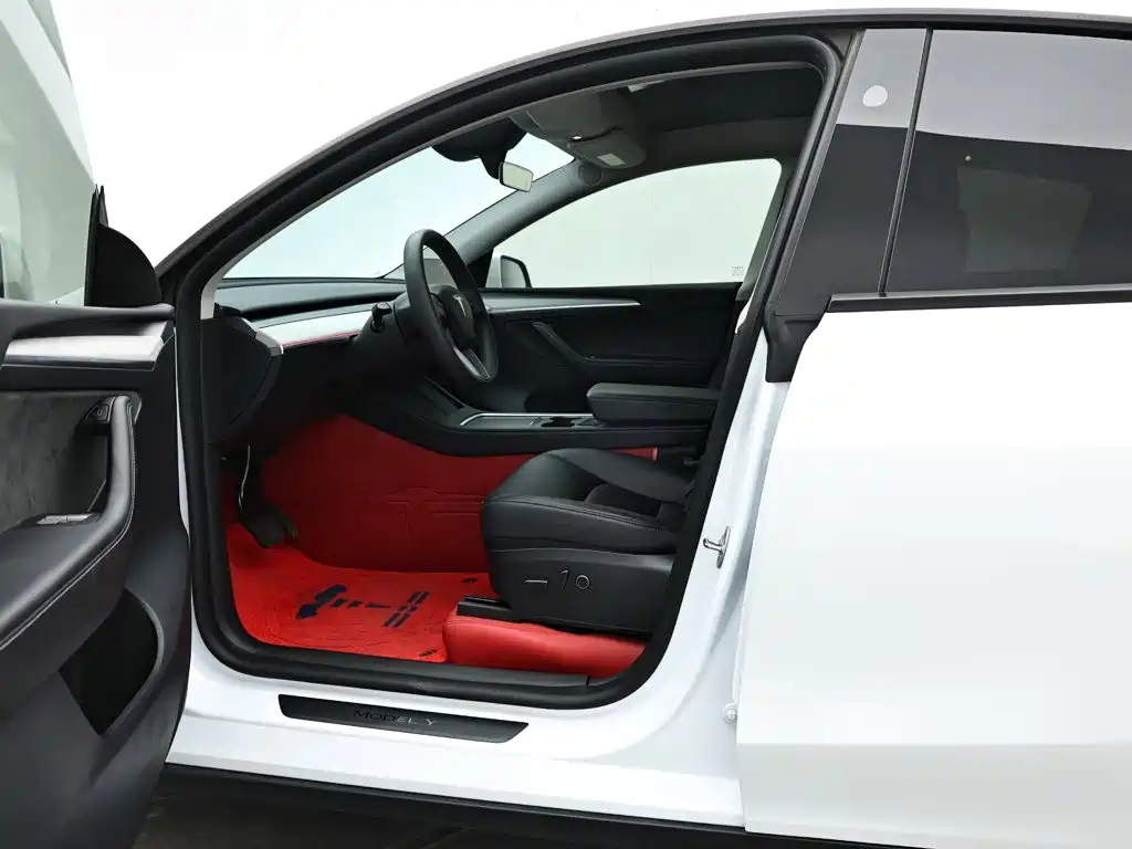 Tesla Model Y — миниатюра 10
