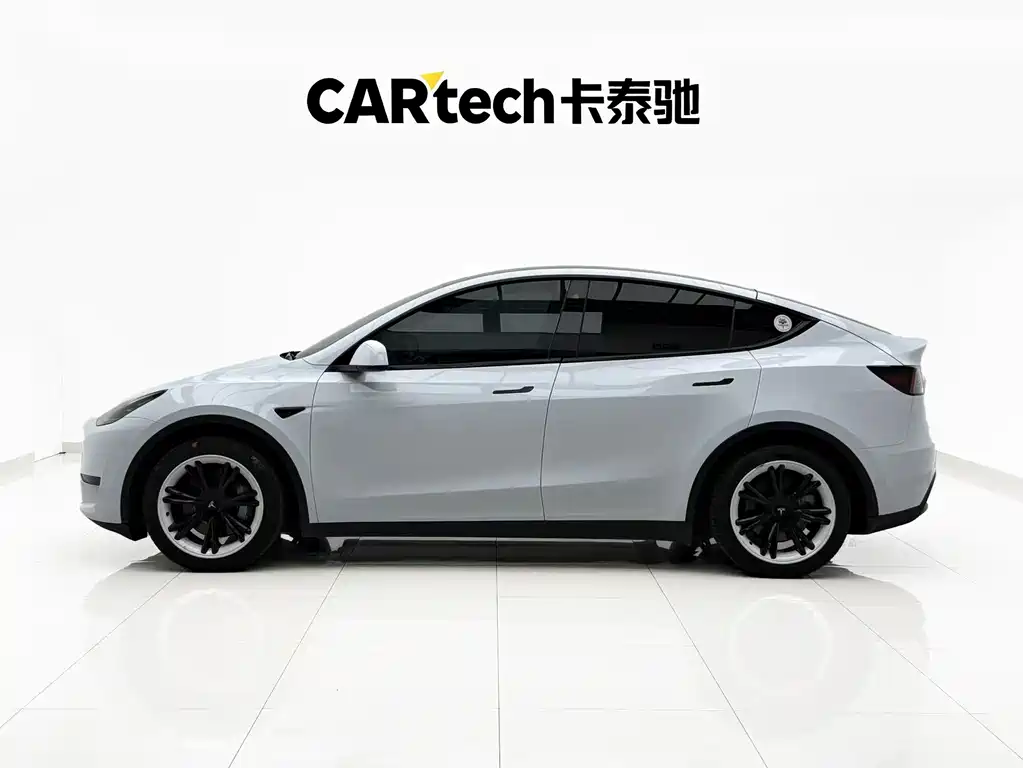 Tesla Model Y — миниатюра 3
