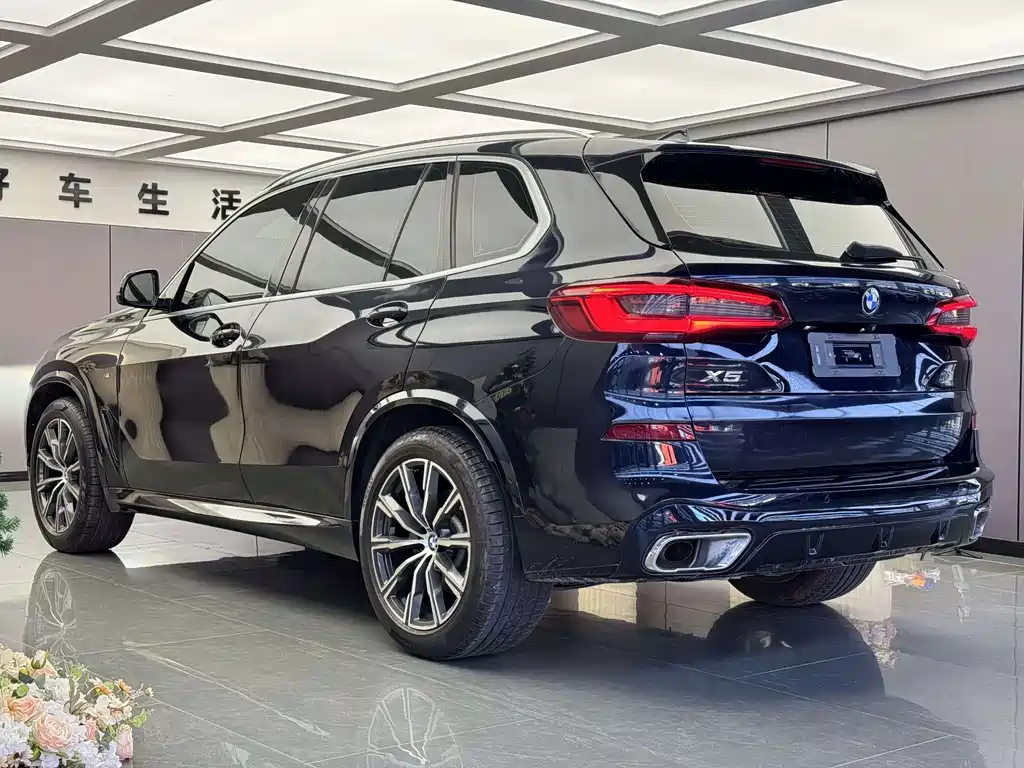 BMW X5 (Import) — миниатюра 11