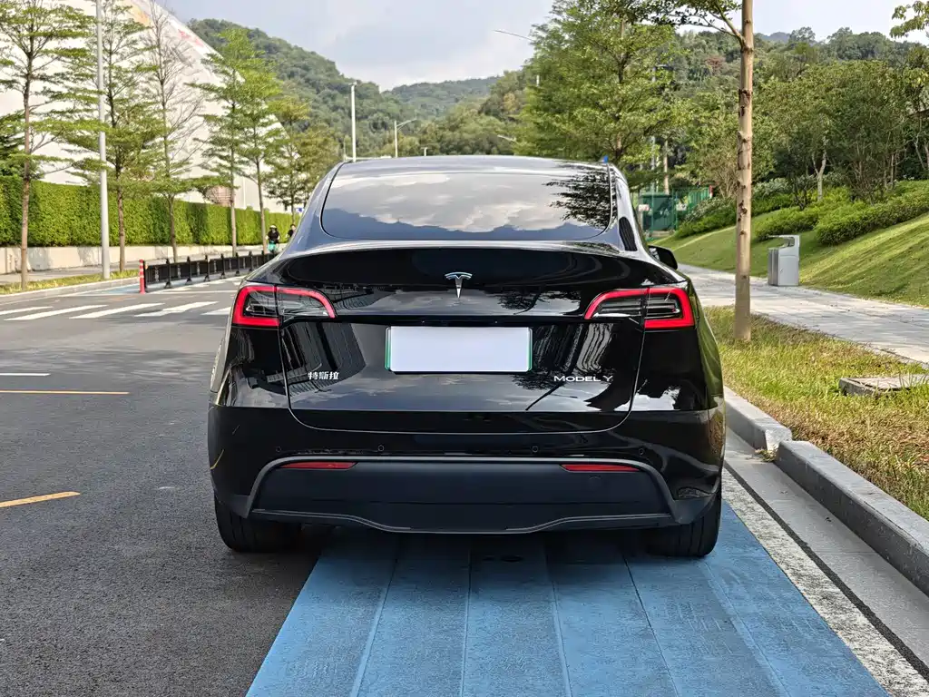 Tesla Model Y — миниатюра 16