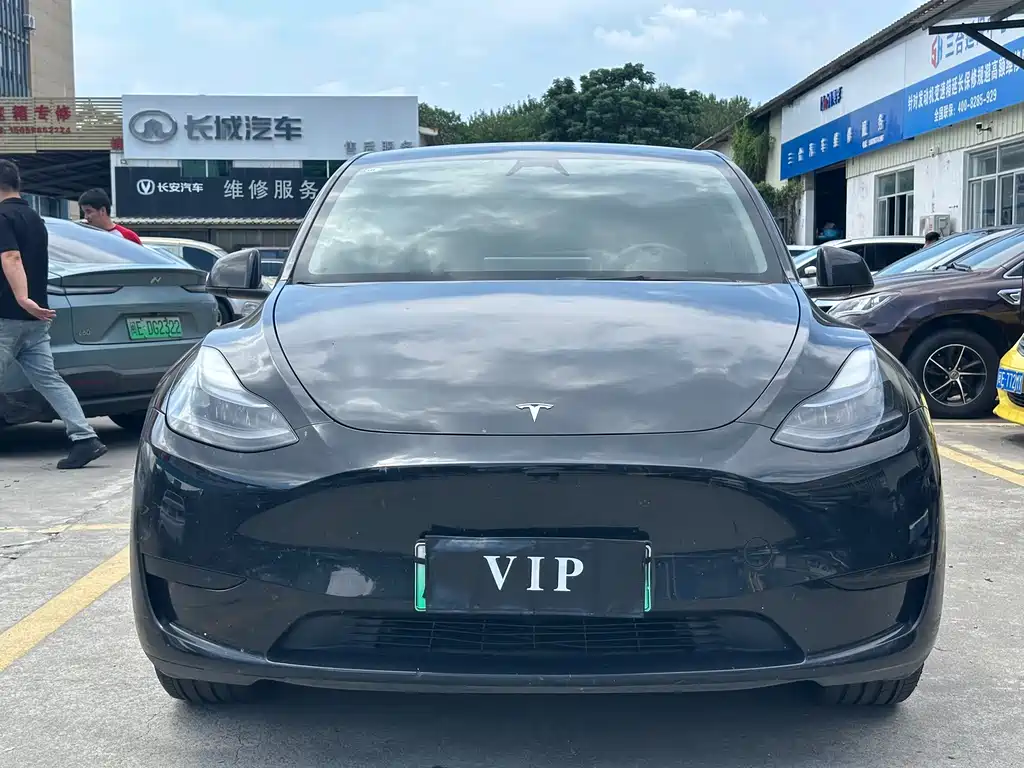 Tesla Model Y — миниатюра 2