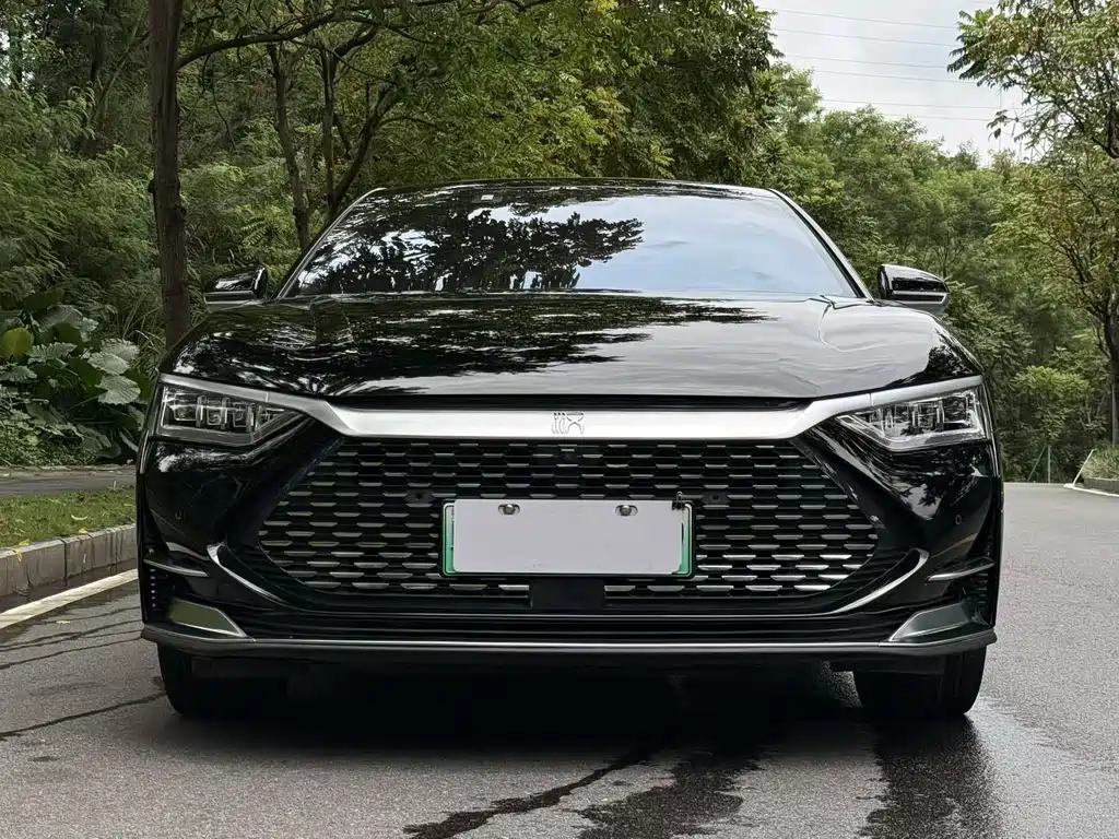 BYD Han — миниатюра 2