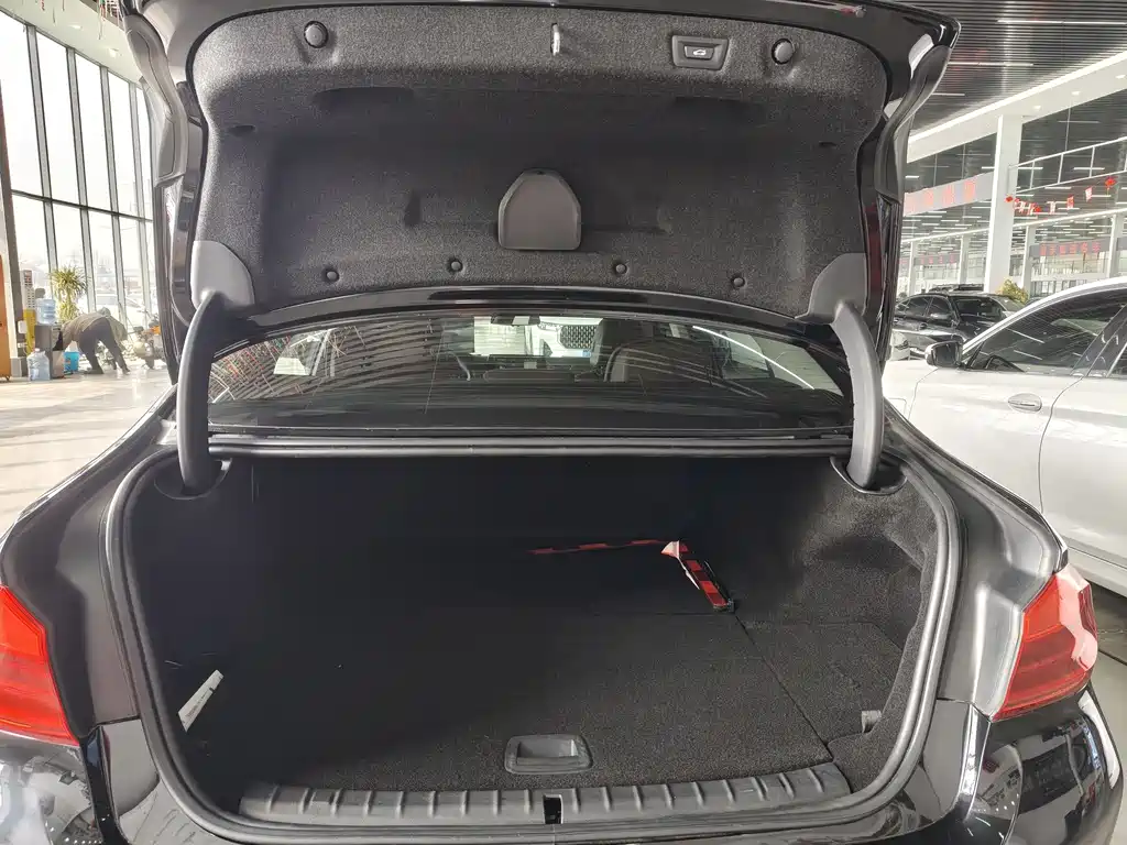 BMW 5 SERIES NEW ENERGY