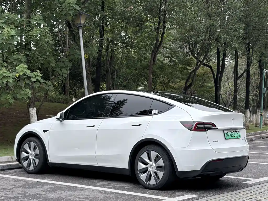 Tesla Model Y — миниатюра 6
