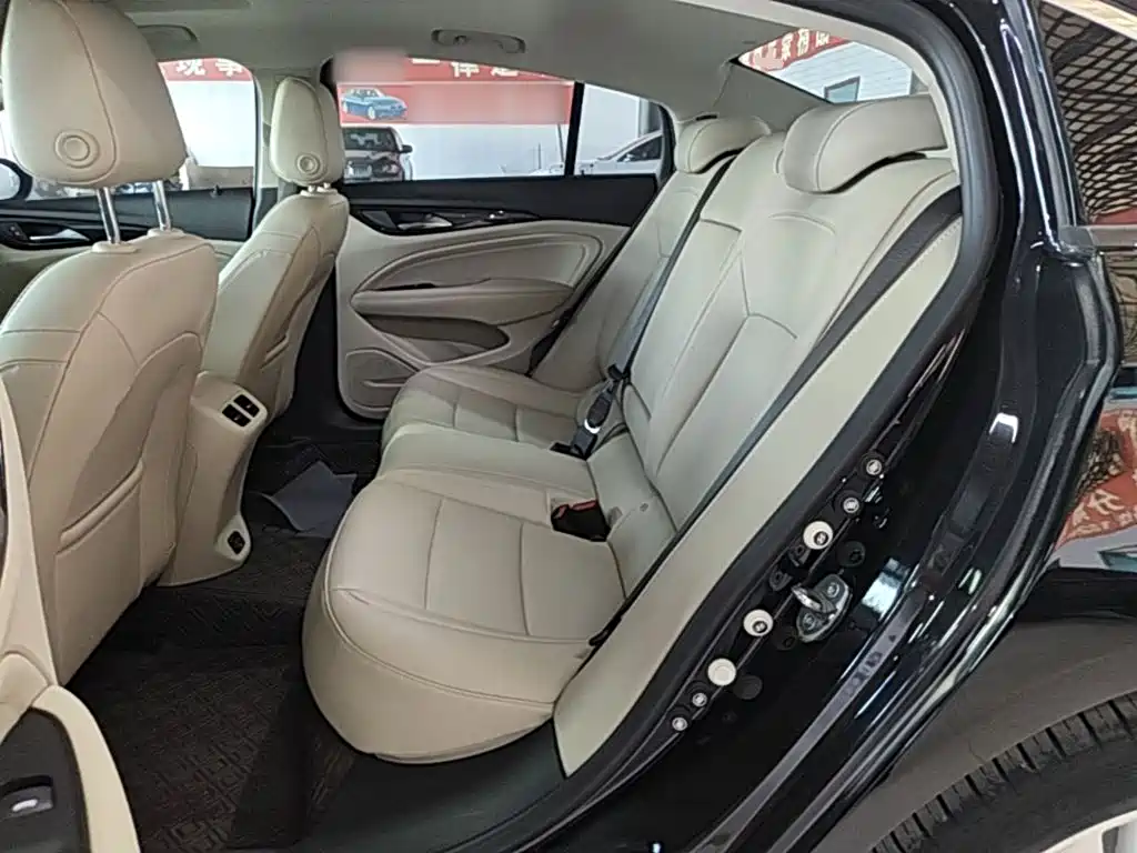 Buick Regal — миниатюра 17
