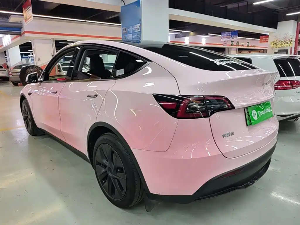 Tesla Model Y — миниатюра 5