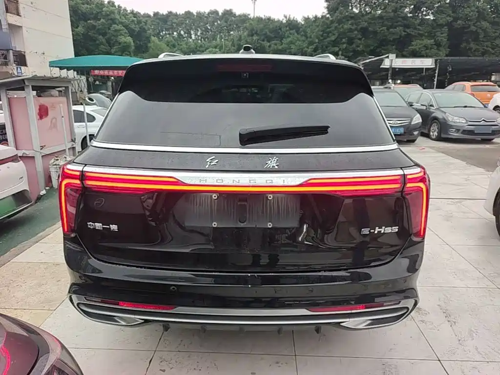 Hongqi Hongqi E-HS9 — миниатюра 6