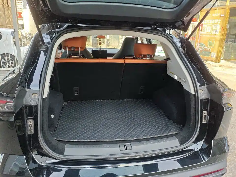 Jetour Dasheng 1.5T DCT Luxury Edition, фото 7
