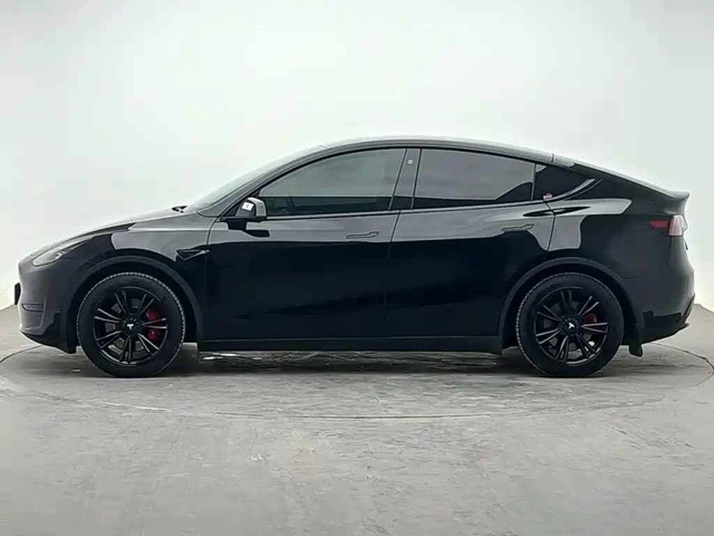 Tesla Model Y — миниатюра 2