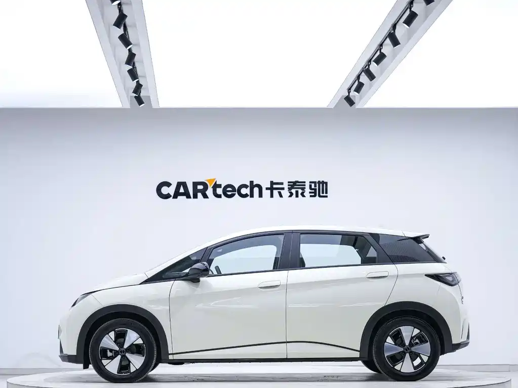 BYD Dolphin — миниатюра 3