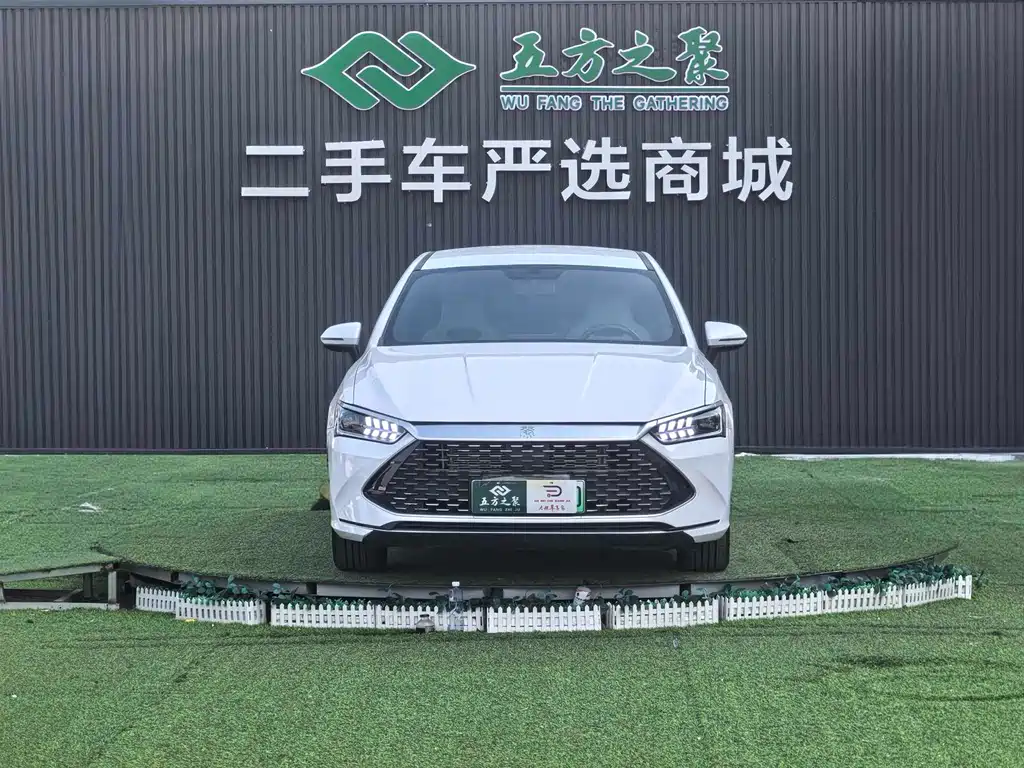 BYD Qin Plus PLUS 2024 DM-i 55KM Lead