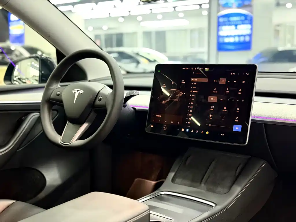 Tesla Model Y — миниатюра 12