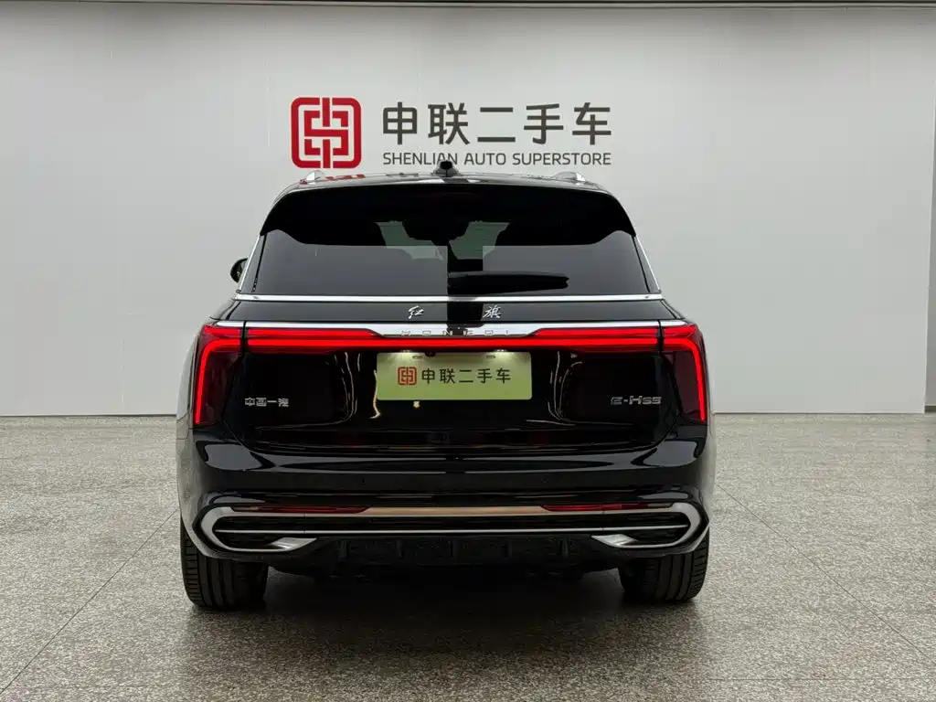 Hongqi Hongqi E-HS9 — миниатюра 4