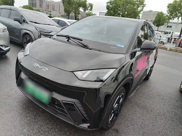 2024 BYD Seagull