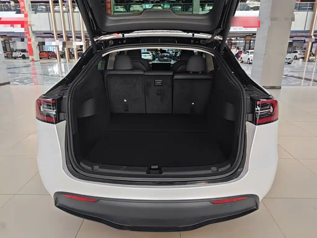 Tesla Model Y — миниатюра 19
