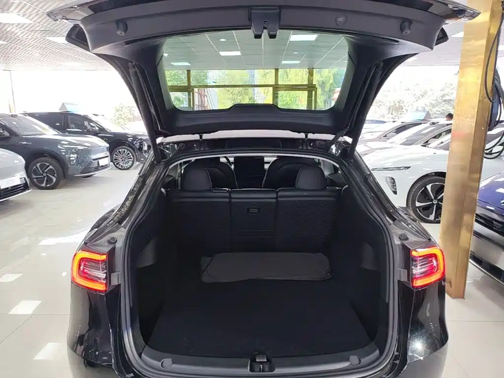 Tesla Model Y — миниатюра 19
