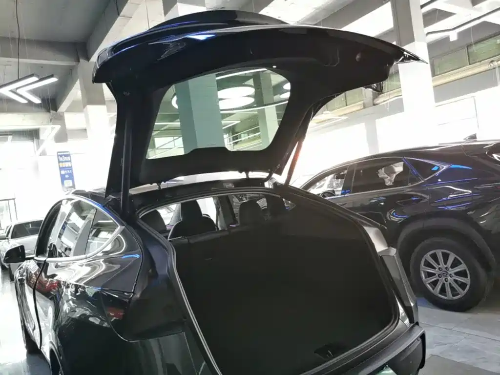 Tesla Model Y — миниатюра 19