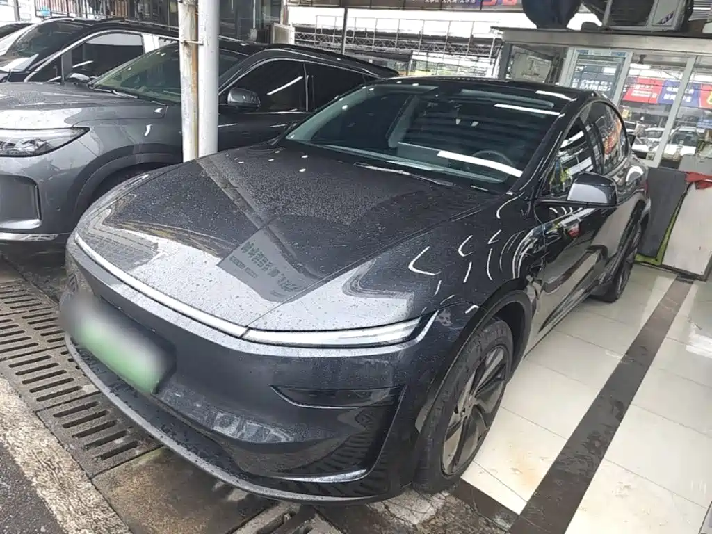 Tesla Model Y — миниатюра 2