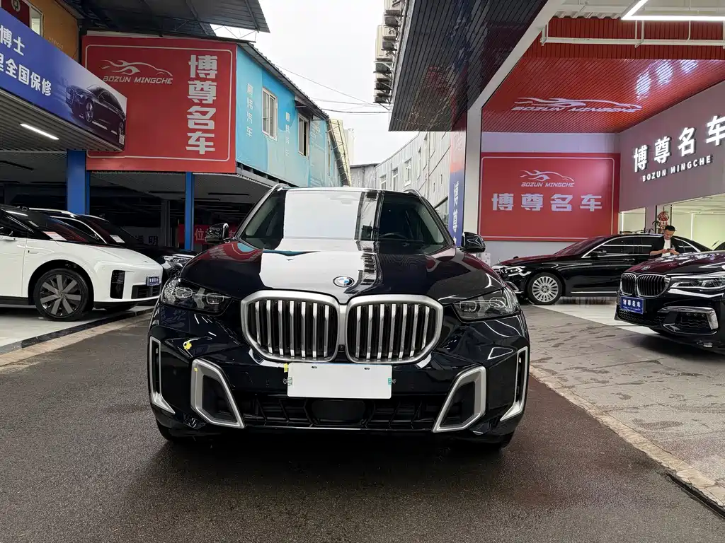 BMW X5 — миниатюра 2