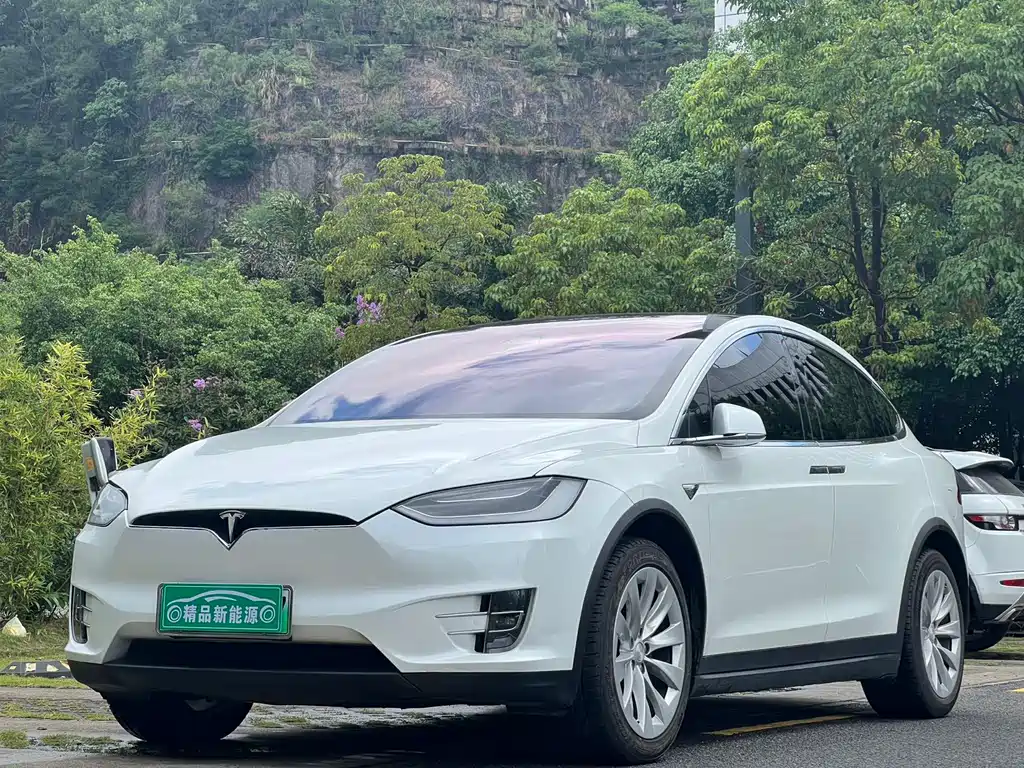 Tesla Model X 2018